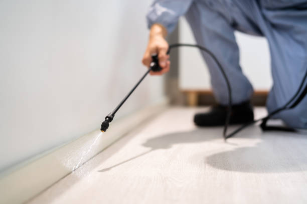 Bed Bug Pre-Treatment Preparation Assessment in Mount Carmel