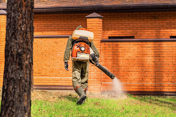 Bed Bug Clearance Verification and Documentation in Mount Carmel